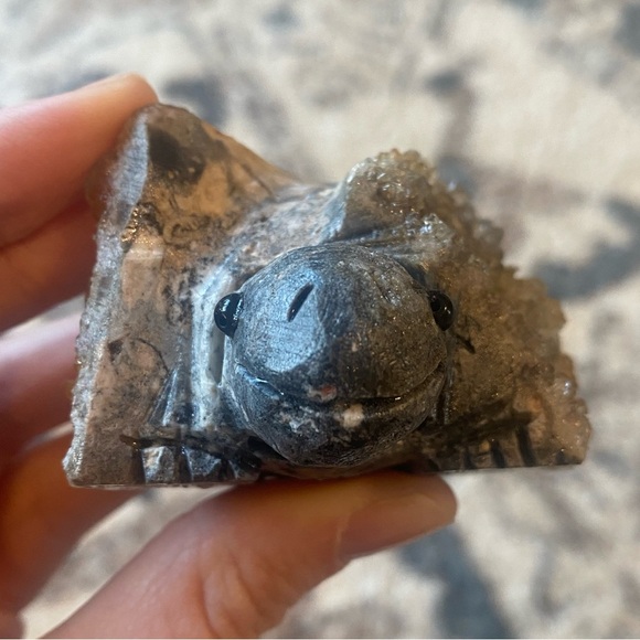 NOT FOR SALE - Picture 5 of 6